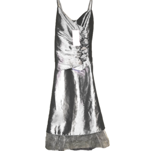 Silver dress NWT by Angels ( Available In White Too)